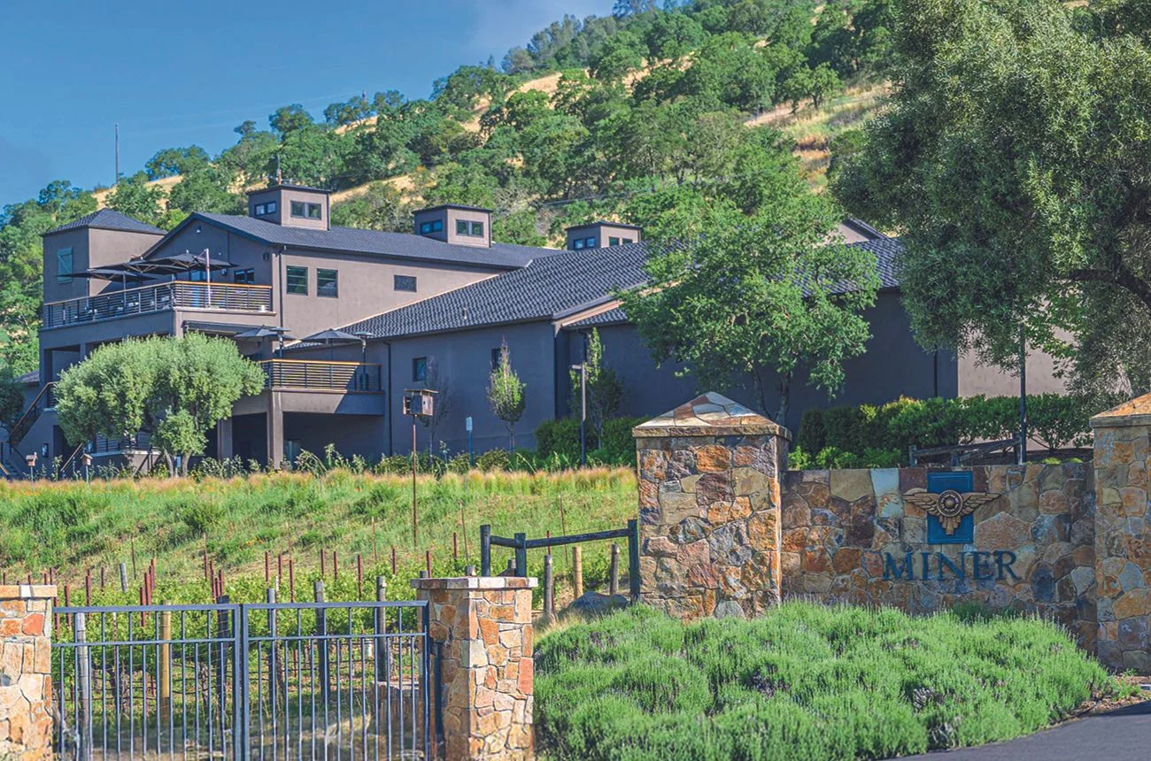 Winery and vineyard