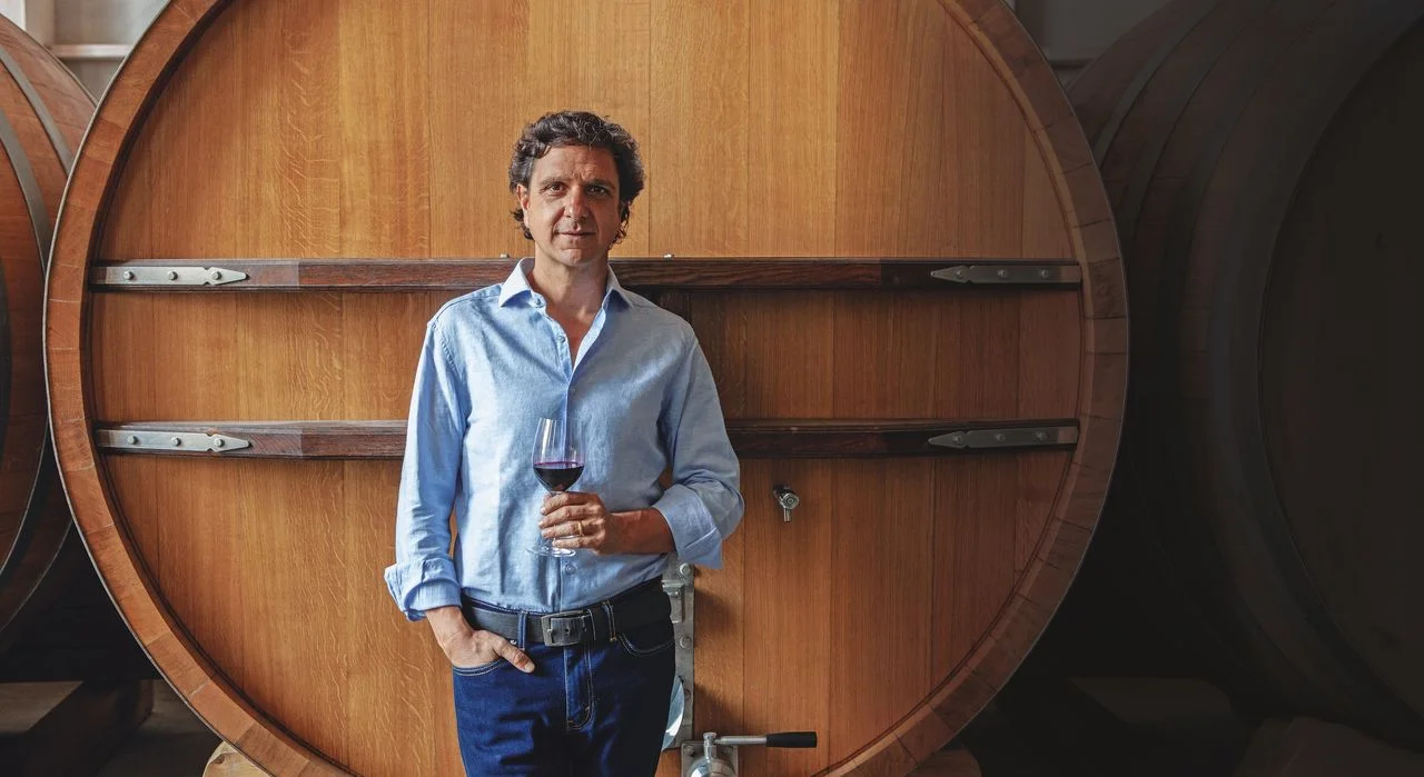 Discovering South America's Pinot Noir: A Journey to Mastery in Cooler Climates