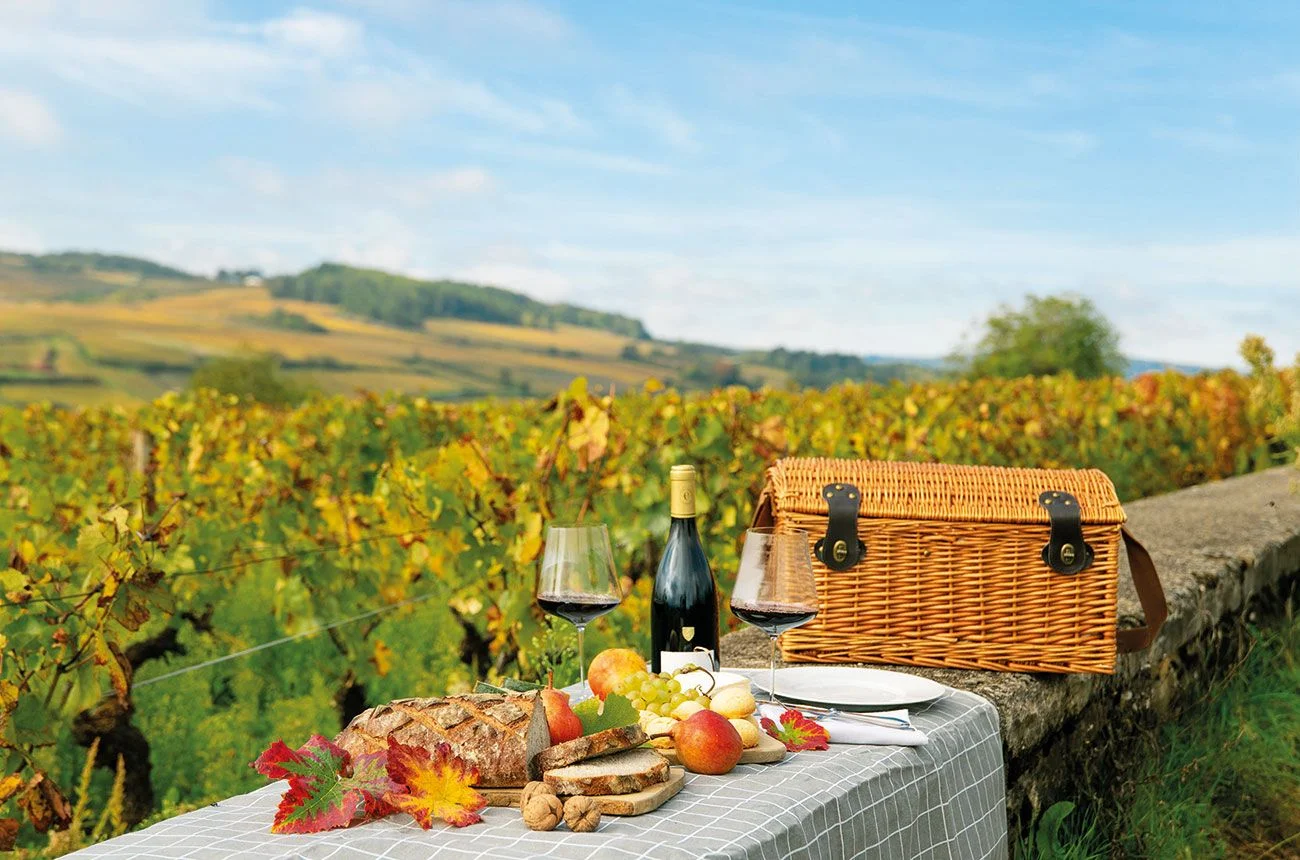 Château la Commaraine picnic in the vineyards