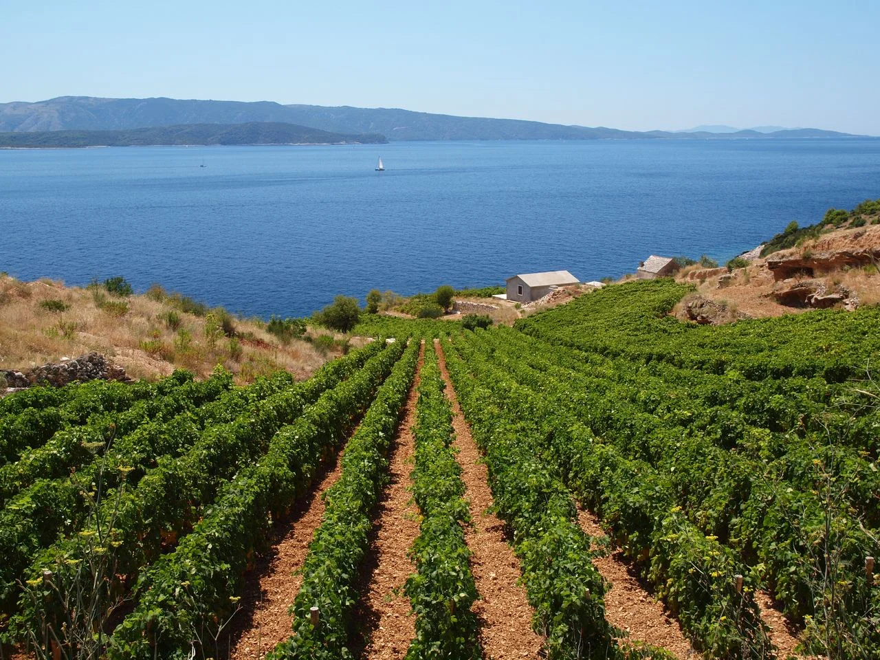 Discovering the Mediterranean's Finest Wines: Highlights from DWWA 2026