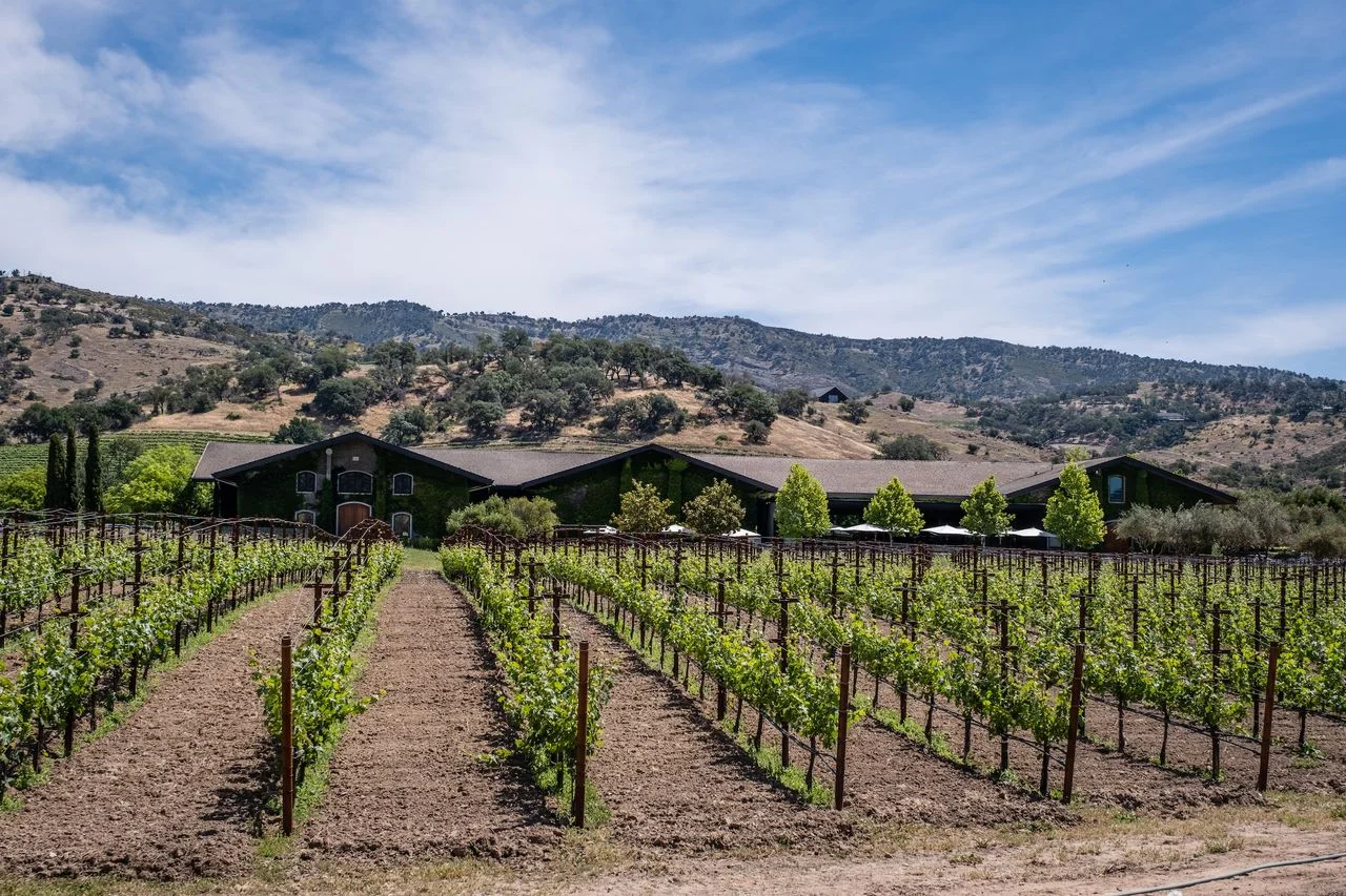 California Wines Shine Bright at DWWA 2026