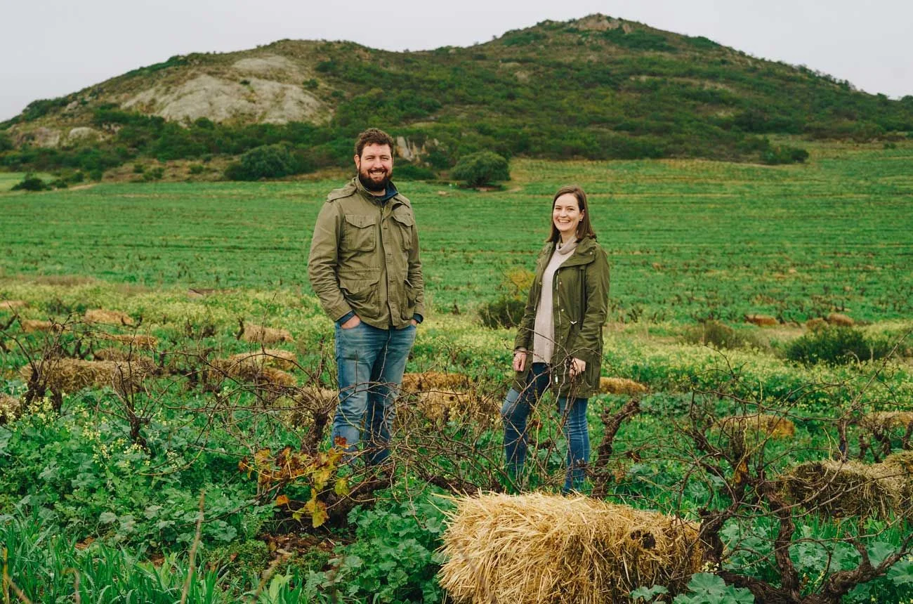 The Evolving Landscape of South African Wine: A Decade of Transformation and Future Potential