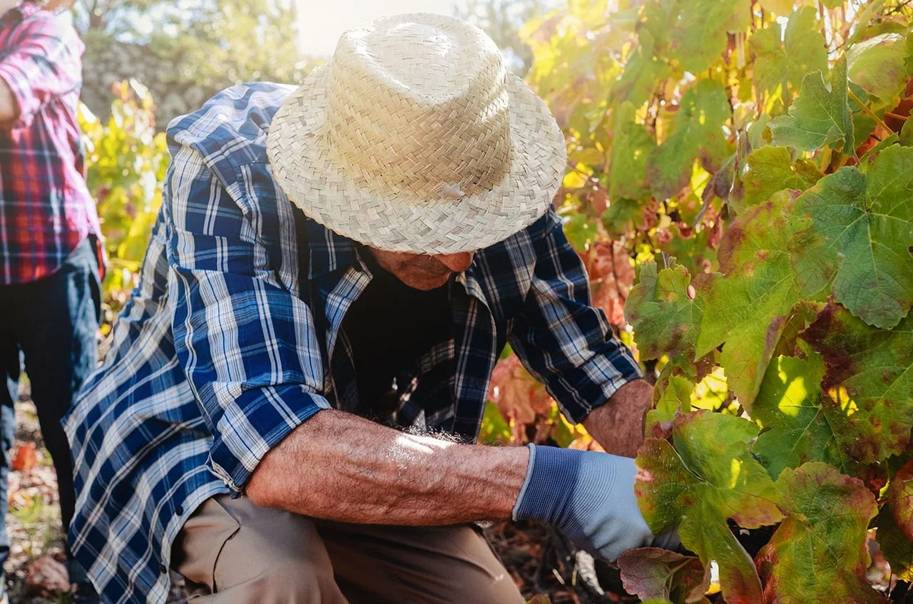 Prioritizing People: The Key to Exceptional Wine Production