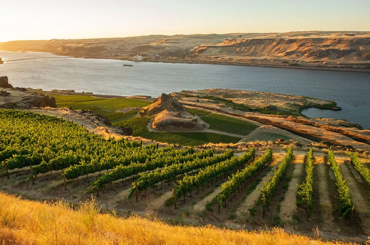 Test Your Knowledge of Washington Wine with Our Engaging Quiz