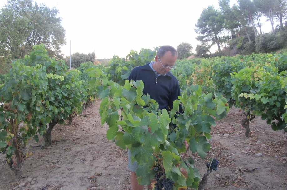 Château Rayas
